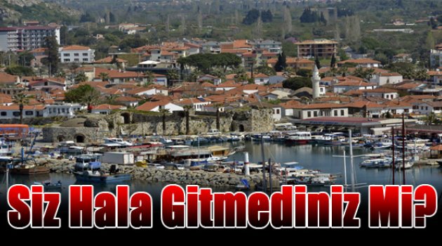 Siz hala gitmediniz mi?