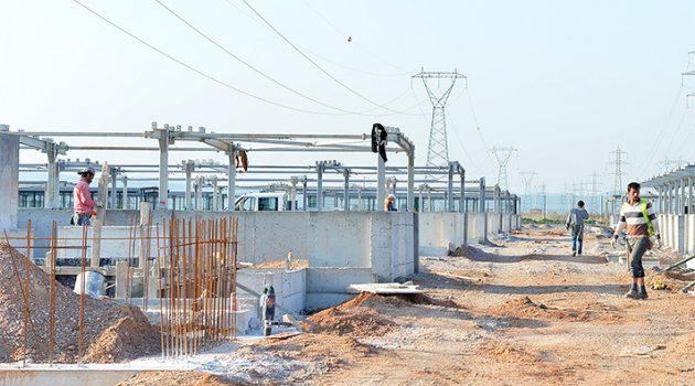 Sokak Hayvanlarına İki Yeni Yuva Geliyor