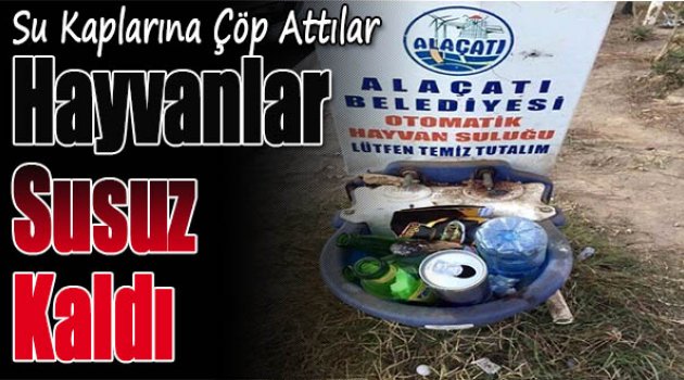 Su Kaplarına Çöp Attılar, Hayvanlar Susuz Kaldı
