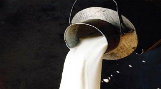 "Süte Sahip Çıkılarak, Mandıra Tekeli Kırılacak"