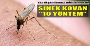 Sivrisinek Kovucu 10 Yöntem!