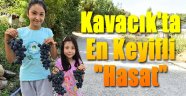 Kavacık’ta en keyifli hasat