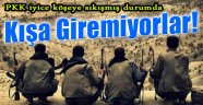 PKK Köşeye Sıkıştı, Kışa Giremiyor!