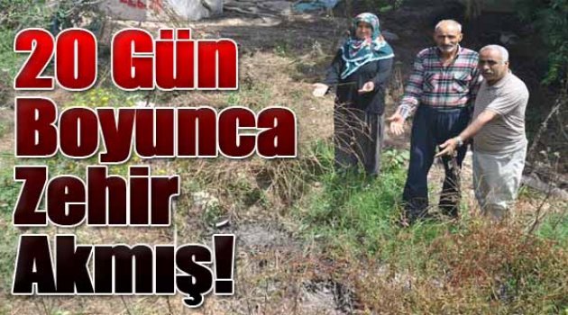 Tahtalı'ya 20 Gün Boyunca Zehir Akmış