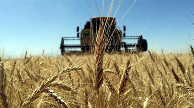 Tarım ÜFE'de Yüzde 3,98'lık Düşüş