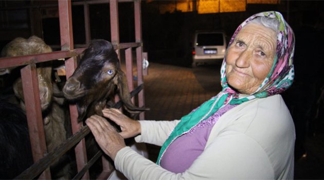 Tek Geçim Kaynağı Keçileriydi...