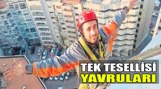 Tek Tesellisi Yavruları