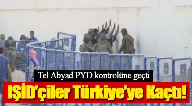 Telabyad YPG denetimine geçti, IŞİD militanları Türkiye'ye kaçtı