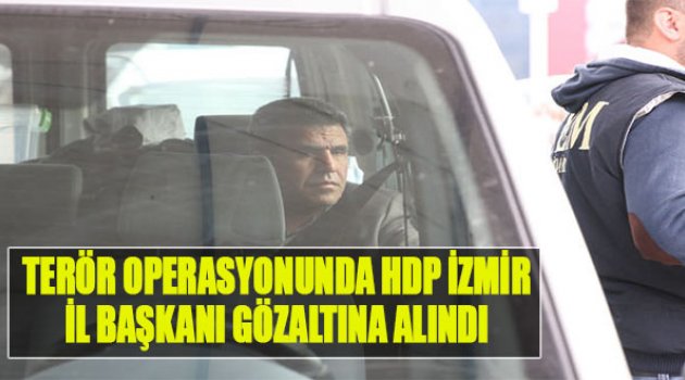 Terör Operasyonunda HDP İl Başkanı Gözaltına Alındı
