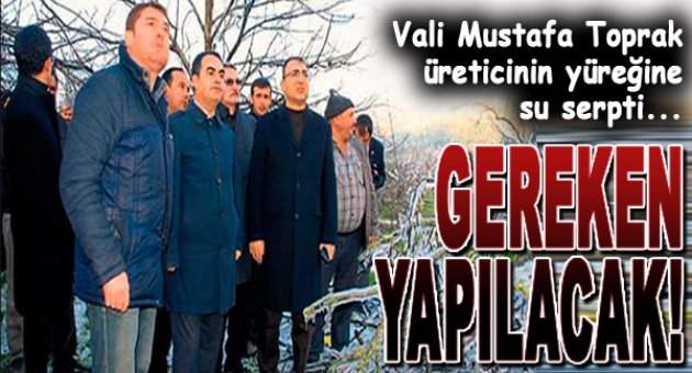 Üreticiye "gereken yapılacak" sözü