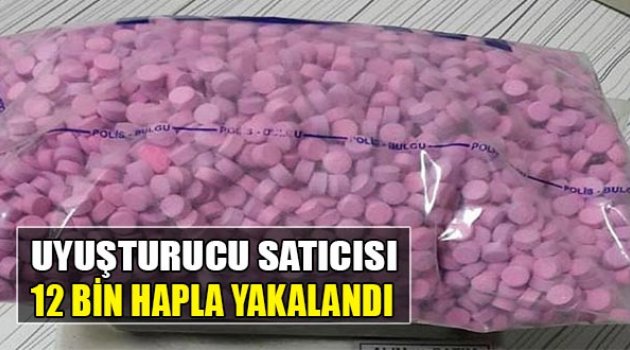 Uyuşturucu Satıcısı 12 Bin Hapla Yakalandı