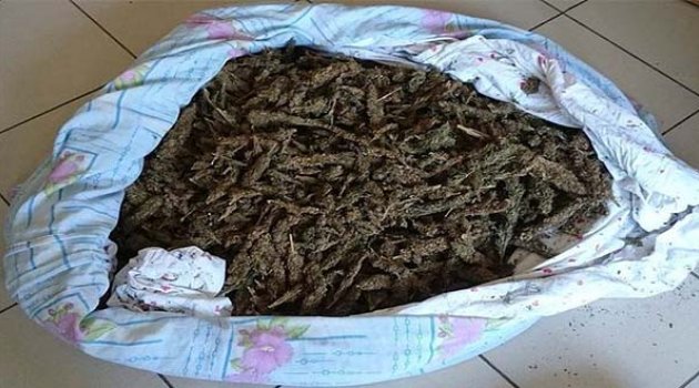 Uyuşturucu Taciri Yakalandı