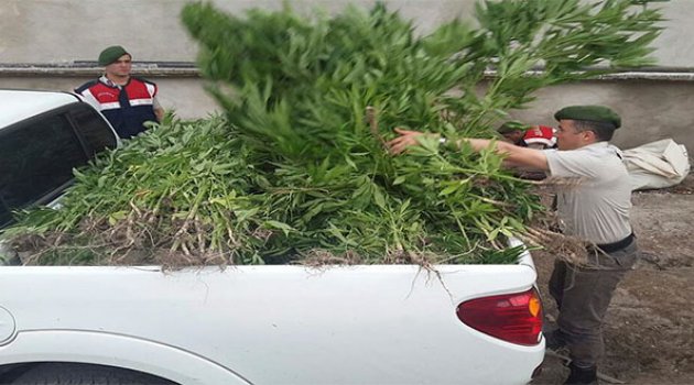 Uyuşturucu Tacirlerine Darbe