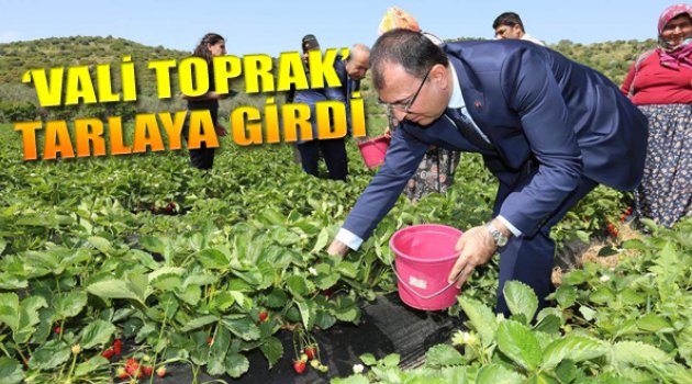 Vali Toprak Tarlaya Girdi