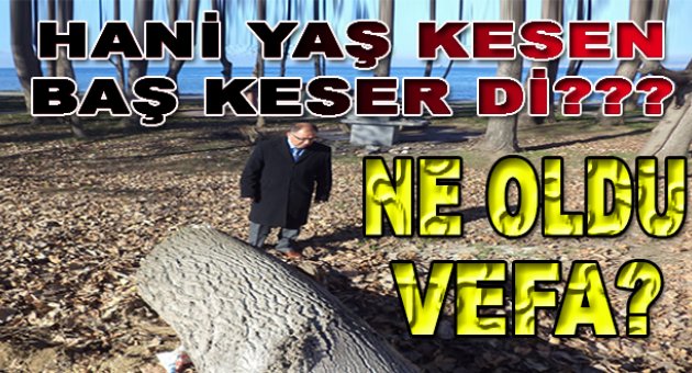 Vefa bu sözlerini çabuk unuttu