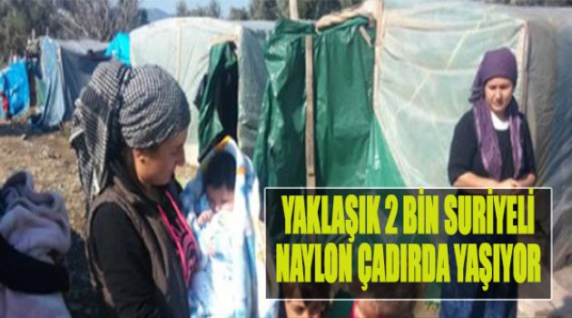 Yaklaşık 2 Bin Suriyeli Naylon Çadırlarda Yaşam Savaşı Veriyor