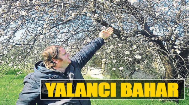 Yalancı Bahar