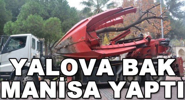 Yalova'nın yapamadığını Manisa yaptı...