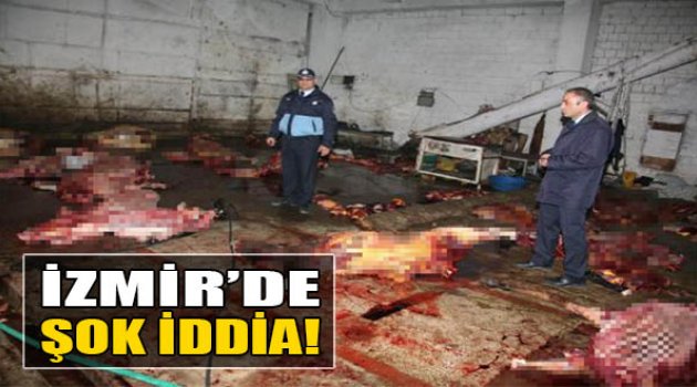 Yarış Atları Sucuk Mu Oluyor?