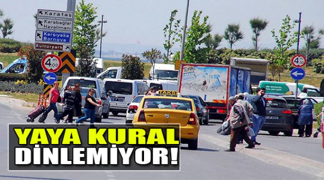 Yaya Kural Dinlemiyor!