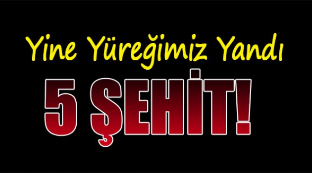 Yine yüreğimiz yandı: 5 ŞEHİT