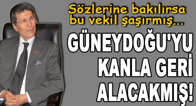 Yusuf Halaçoğlu: Güneydoğu'yu kanla geri alacağız