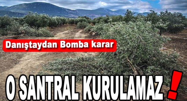 “Zeytinliğe santral da kurulamaz!”