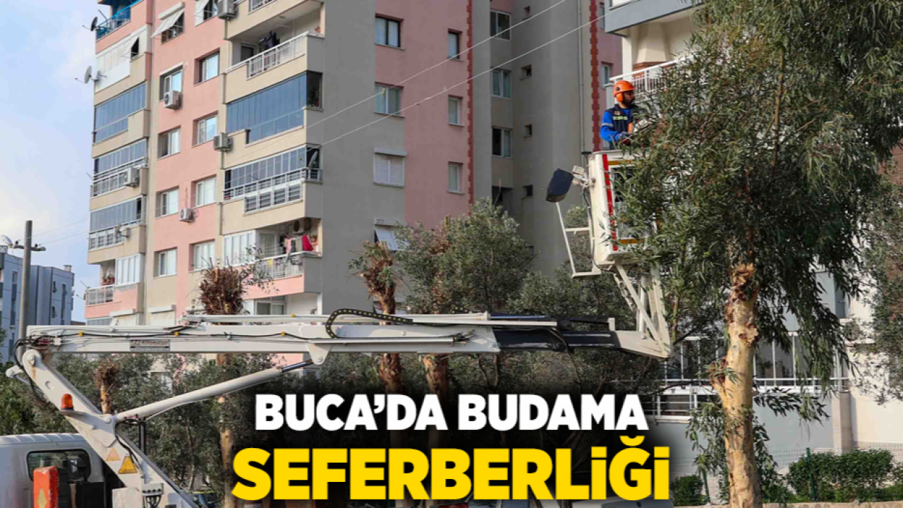Buca’da budama seferberliği