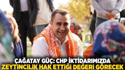 GÜÇ: CHP İKTİDARIMIZDA ZEYTİNCİLİK HAK ETTİĞİ DEĞERİ GÖRECEK