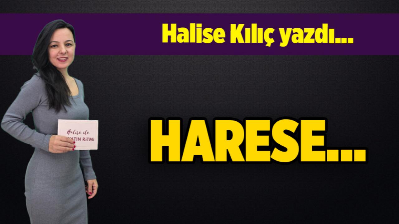Halise Kılıç yazdı...