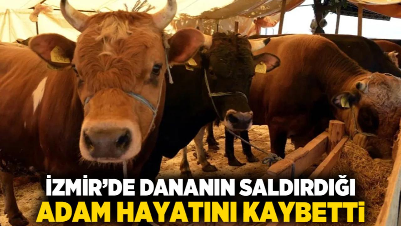 İzmir’de dananın saldırdığı adam hayatını kaybetti