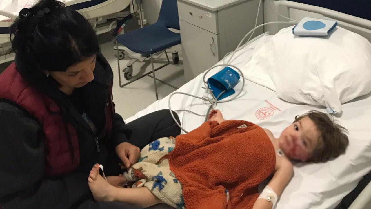 Ankara&#039;da iki kardeşe saldıran pitbull ve sahibi yakalandı