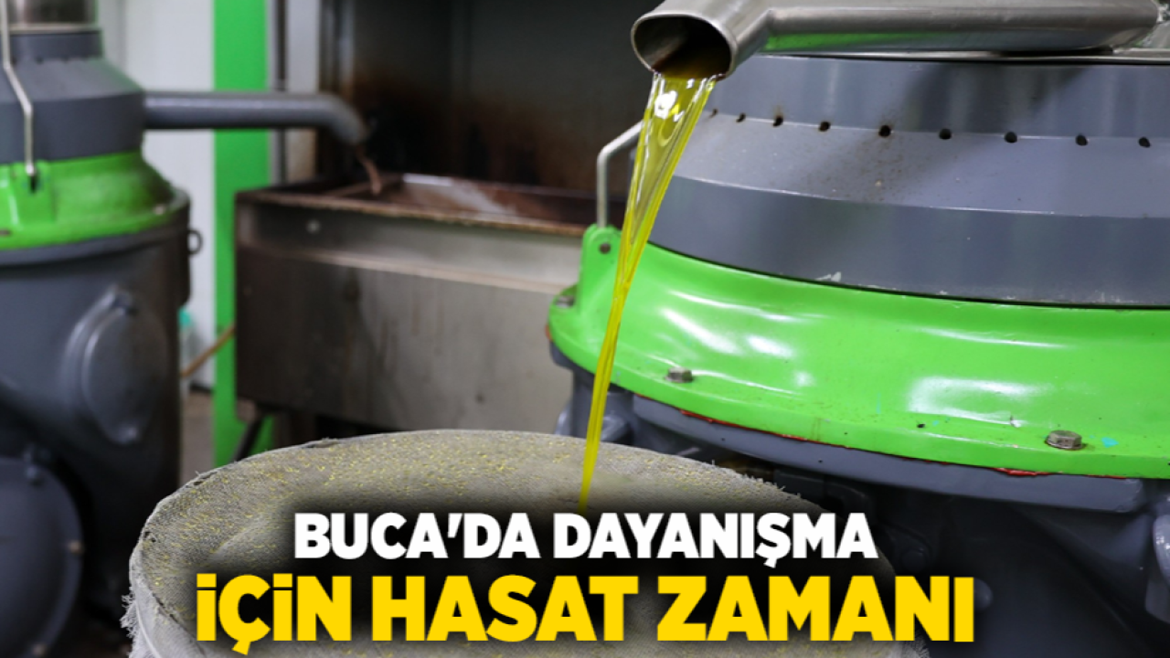 Buca’da dayanışma için hasat zamanı
