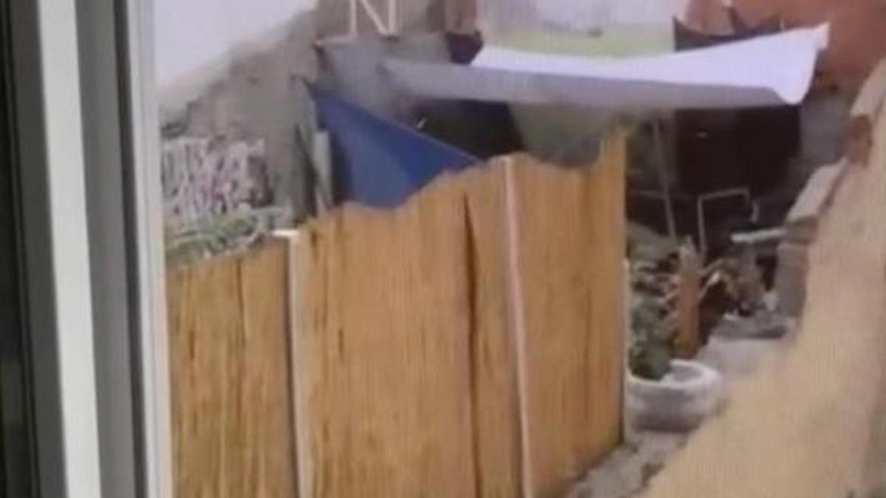 Eskişehir&#039;de tepki çeken olay! Köpeğe eziyet etti