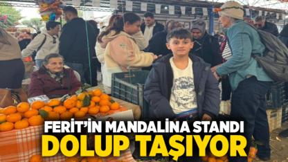 Ferit’in mandalina standı dolup taşıyor