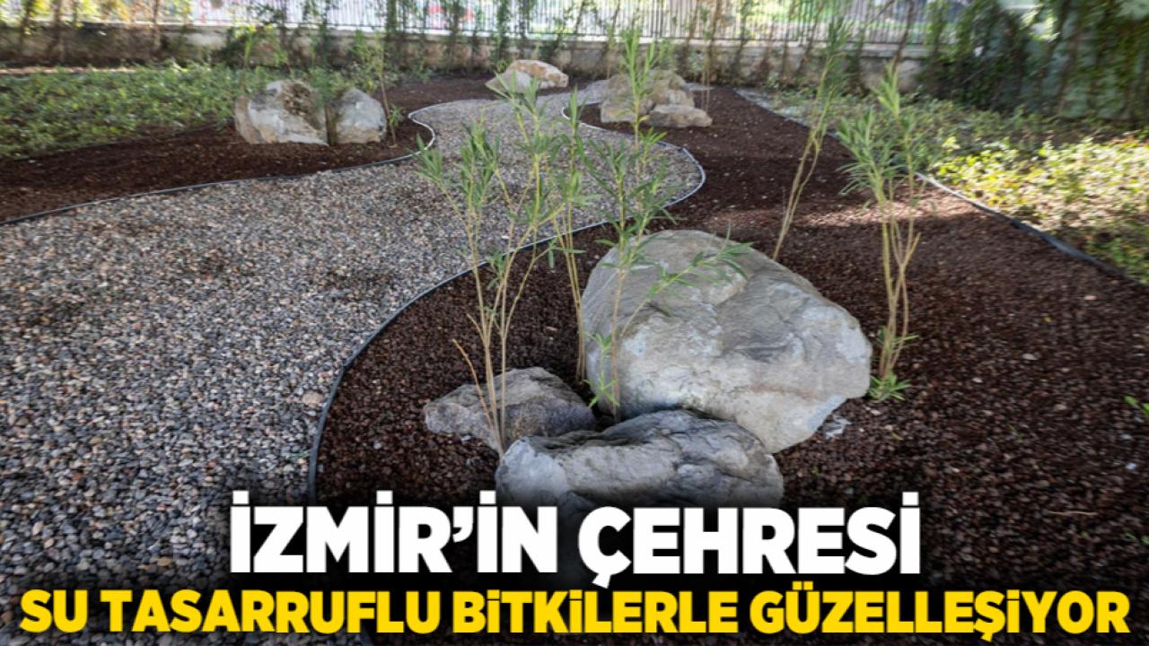 İzmir’in çehresi su tasarruflu bitkilerle güzelleşiyor
