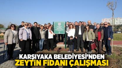 Karşıyaka Belediyesi’nden Zeytin Fidanı Çalışması