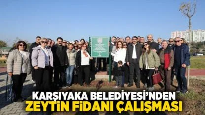 Karşıyaka Belediyesi’nden Zeytin Fidanı Çalışması