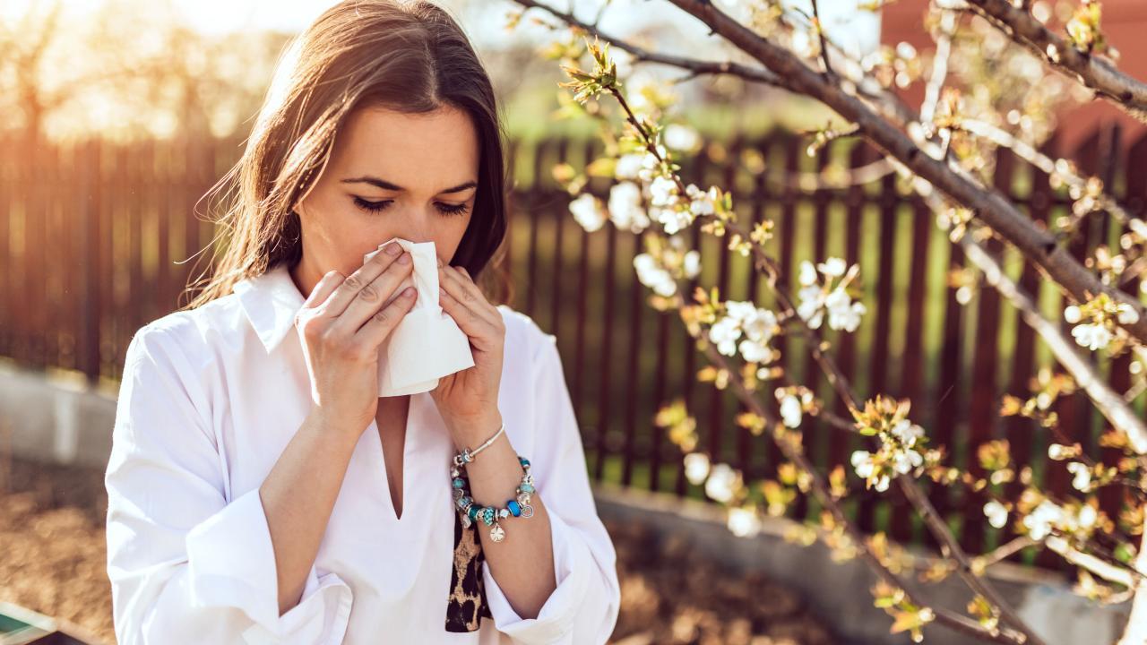 MIT bilim insanları bağışıklık sistemini gençleştirmenin yolunu buldu