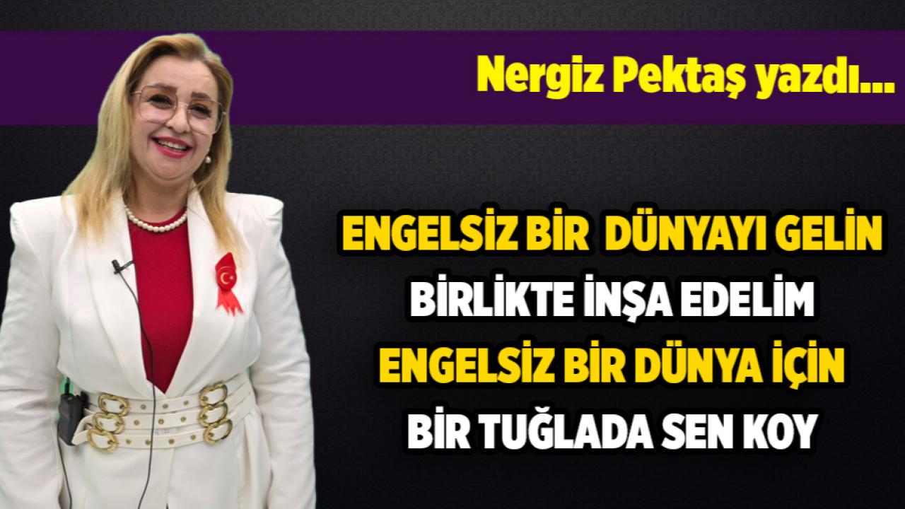 Nergiz Pektaş yazdı...