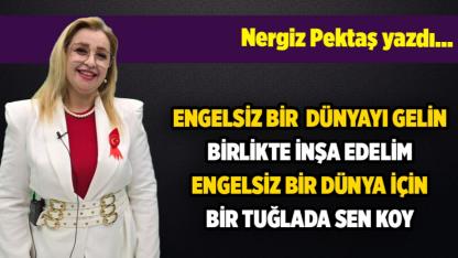 Nergiz Pektaş yazdı...