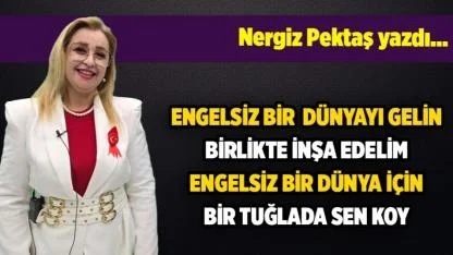 Nergiz Pektaş yazdı...
