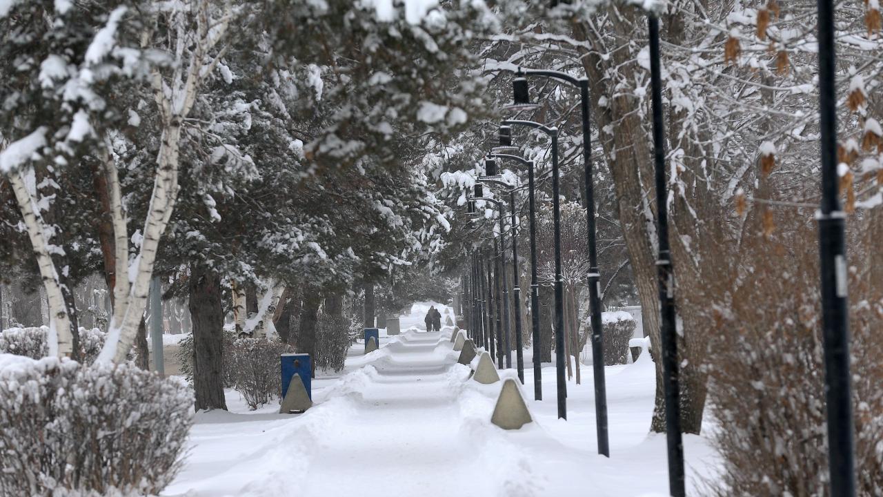 Türkiye'nin en soğuk yeri eksi 30,3 dereceyle Erzurum oldu