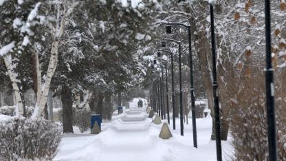 Türkiye'nin en soğuk yeri eksi 30,3 dereceyle Erzurum oldu