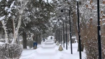 Türkiye'nin en soğuk yeri eksi 30,3 dereceyle Erzurum oldu