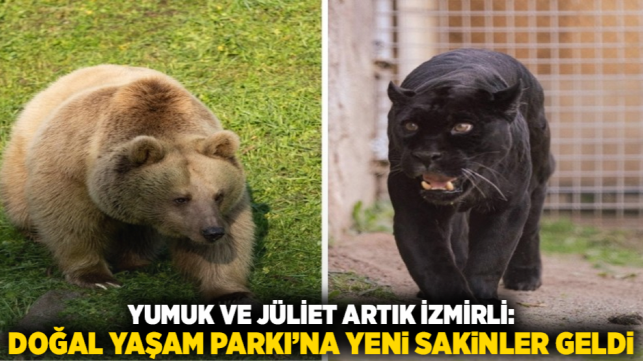 Yumuk ve Jüliet Artık İzmirli: Doğal Yaşam Parkı’na Yeni Sakinler Geldi