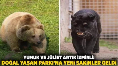 Yumuk ve Jüliet Artık İzmirli: Doğal Yaşam Parkı’na Yeni Sakinler Geldi
