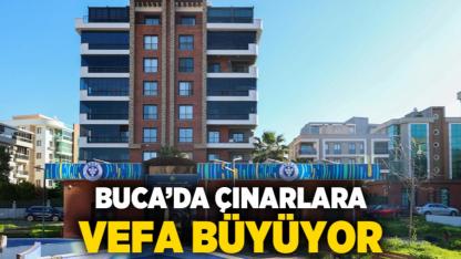 Buca’da çınarlara vefa büyüyor