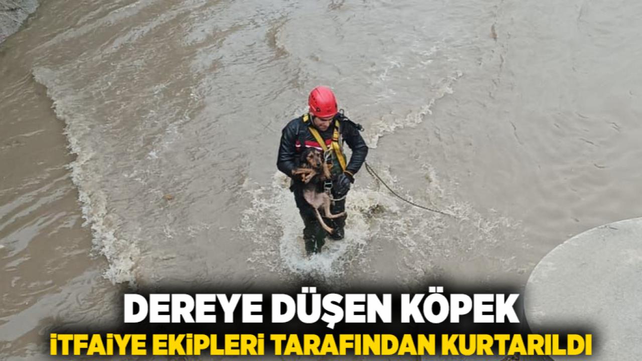 Dereye düşen köpek itfaiye ekipleri tarafından kurtarıldı