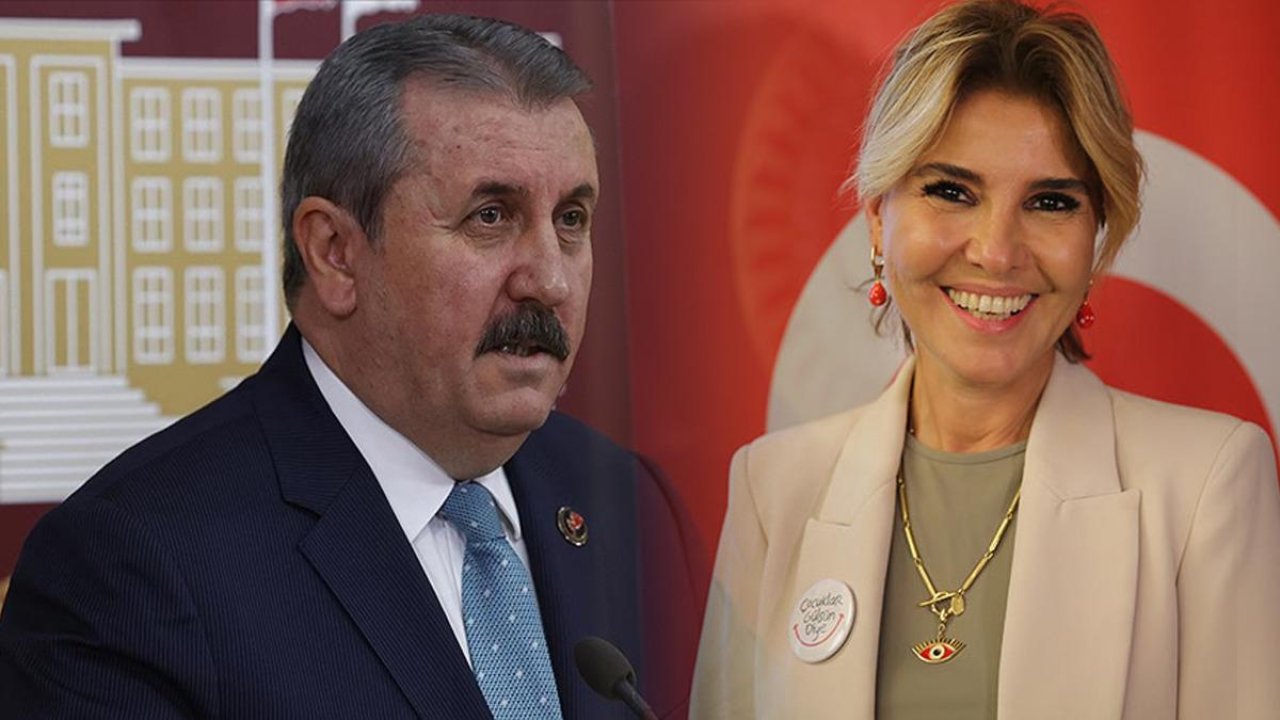 Destici'den Gülben Ergen'e yeni çıkış: "Sanatçı manatçı değil"